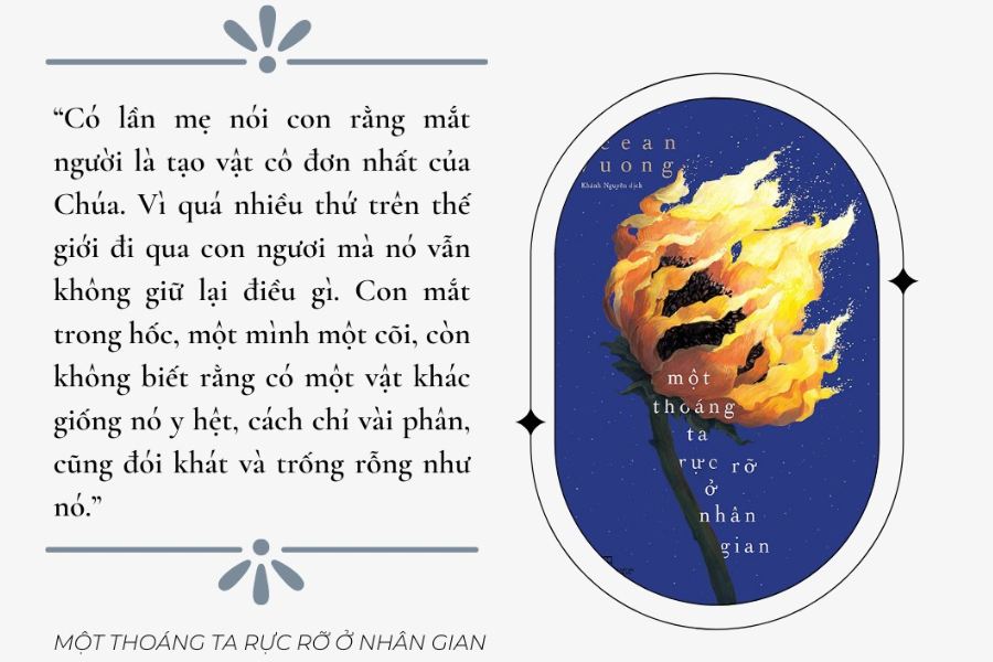 trích “Một thoáng ta rực rỡ ở nhân gian”