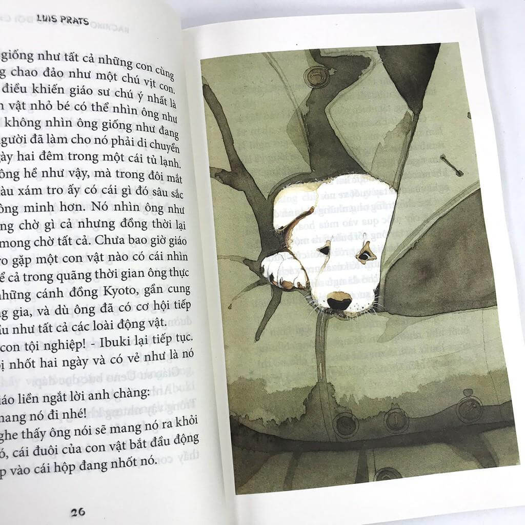 Nội dung cuốn sách Hachiko - Chú chó đợi chờ