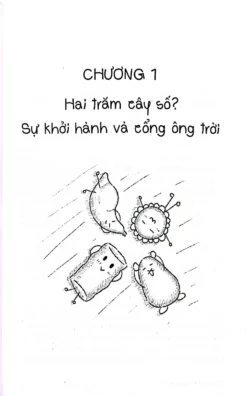 Đây Là Ức Cá Hồi Hay Pưu Lill Ký?